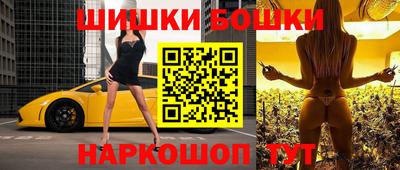 МДПВ Пенза