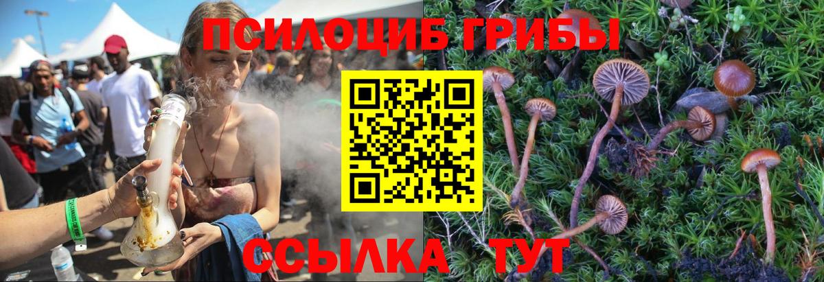 Псилоцибиновые грибы MAGIC MUSHROOMS  Вход с VPN  Псилоцибиновые грибы мицелий  Трёхгорный 